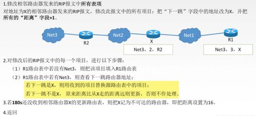 计算机网络复习